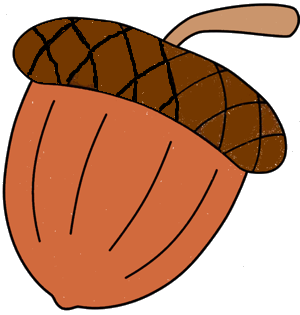 acorn
