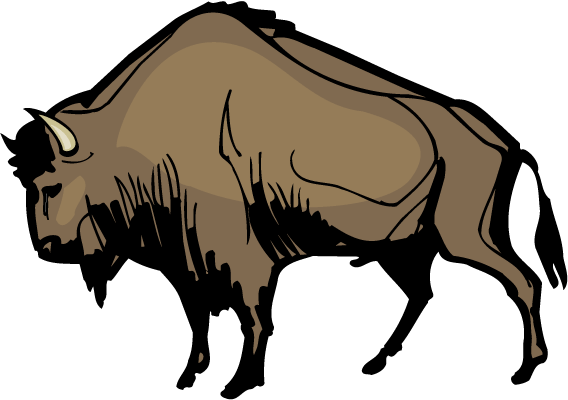 bison