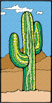 cactus