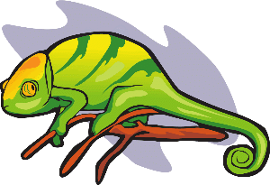 chameleon