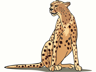 cheetah