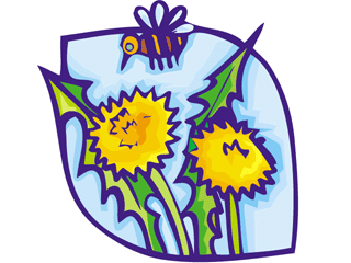 dandelion