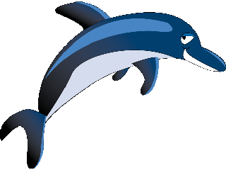 dolphin