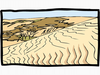 dune