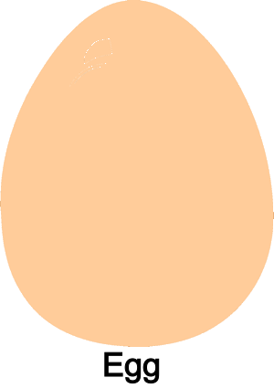 xxxxxx