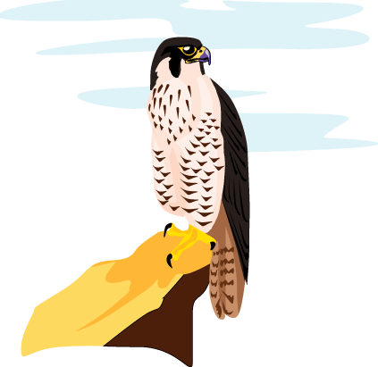 falcon
