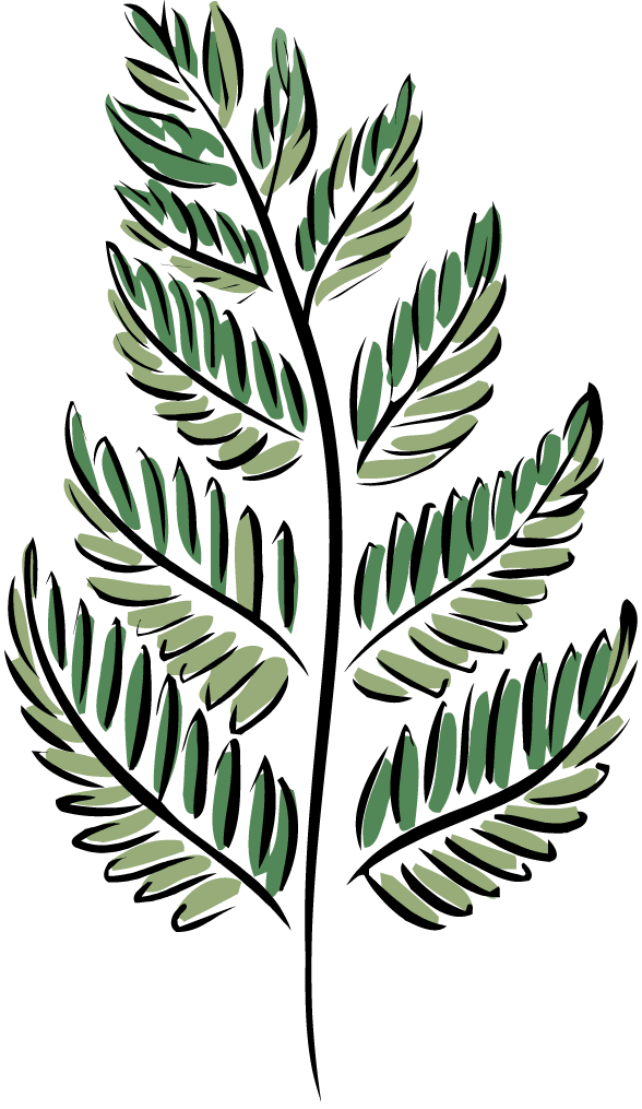 fern