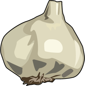 garlic