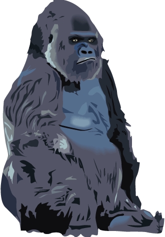 gorilla