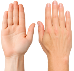 hand