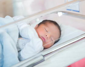 incubator