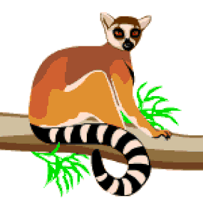 lemur