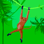 jungle