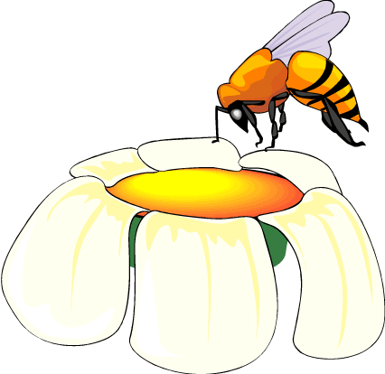 nectar