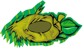 nest