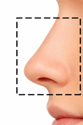 nose
