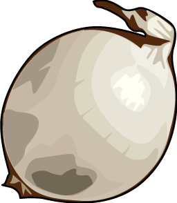 onion