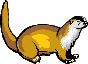 otter