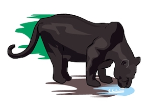 panther