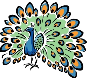 peacock