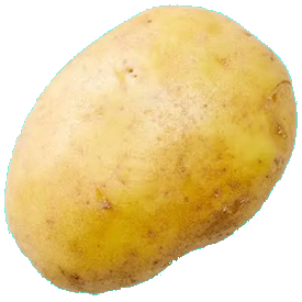 potato