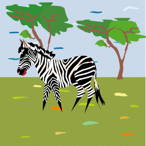 safari