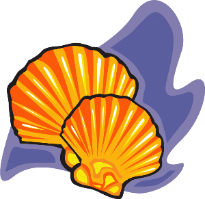 shell