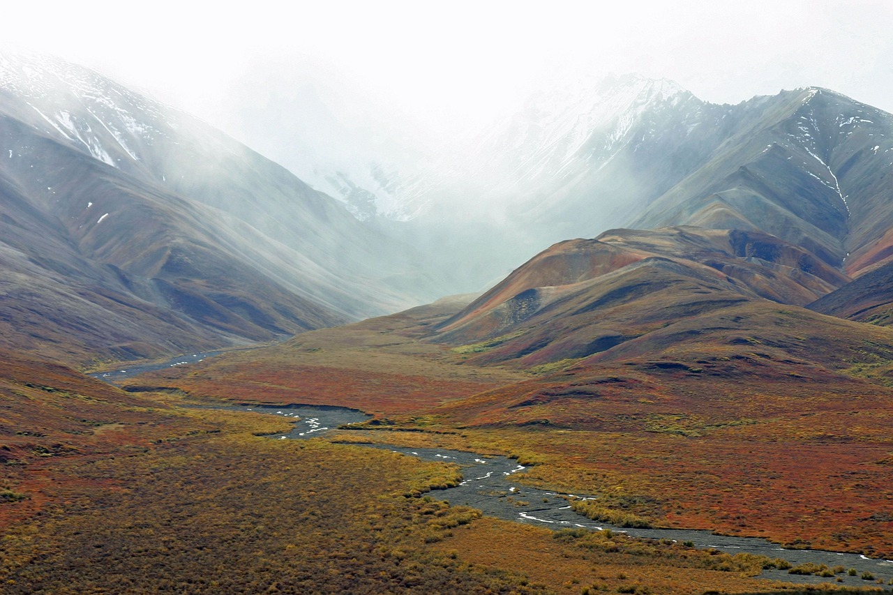 tundra