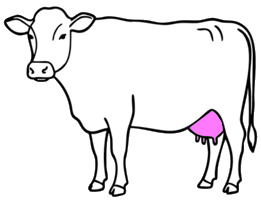 udder