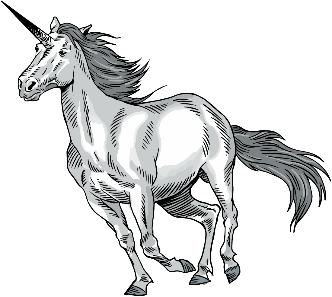unicorn