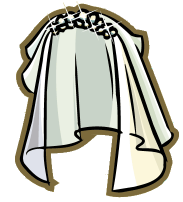 veil