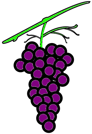 vine