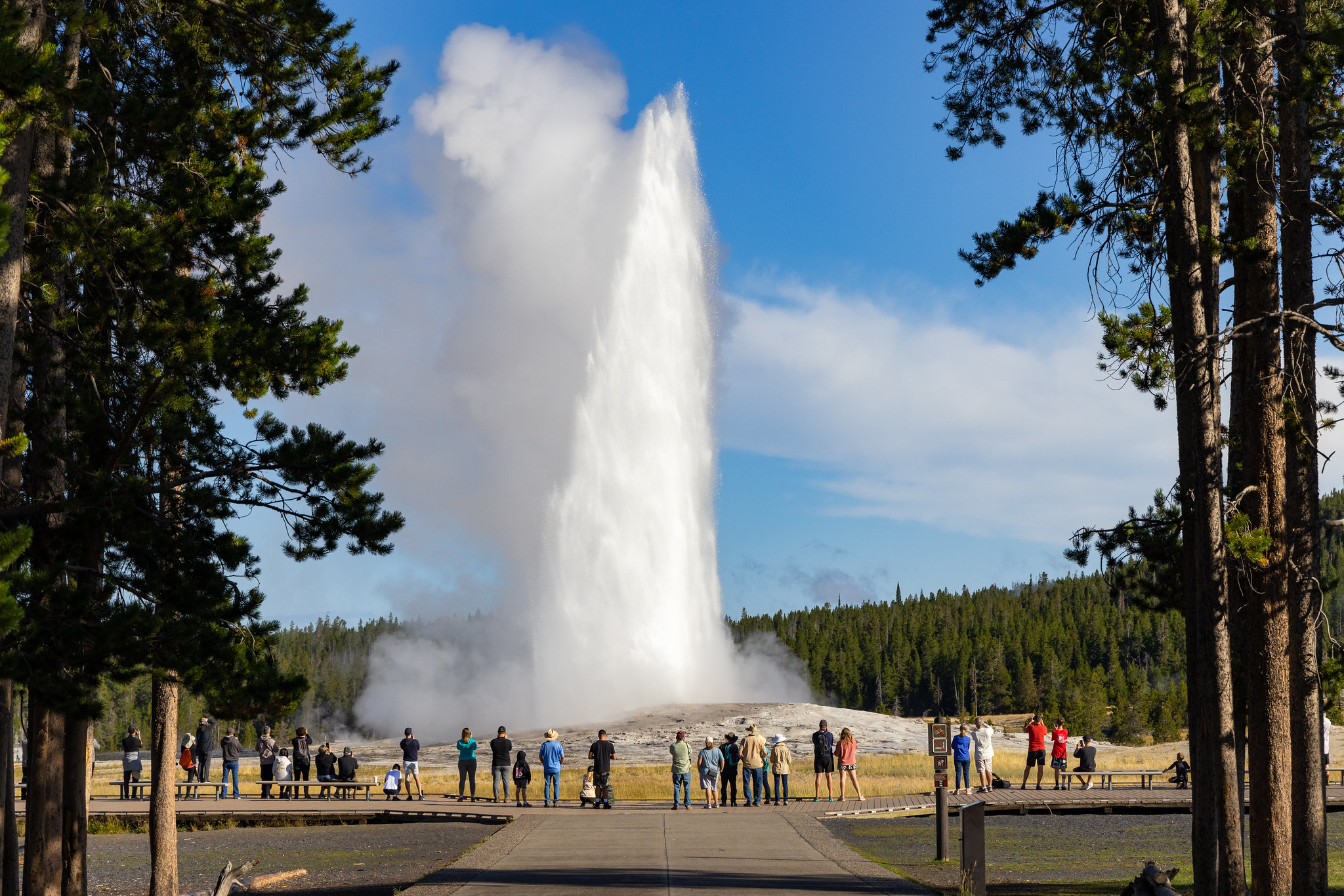 Yellowstone