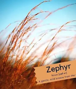 zephyr